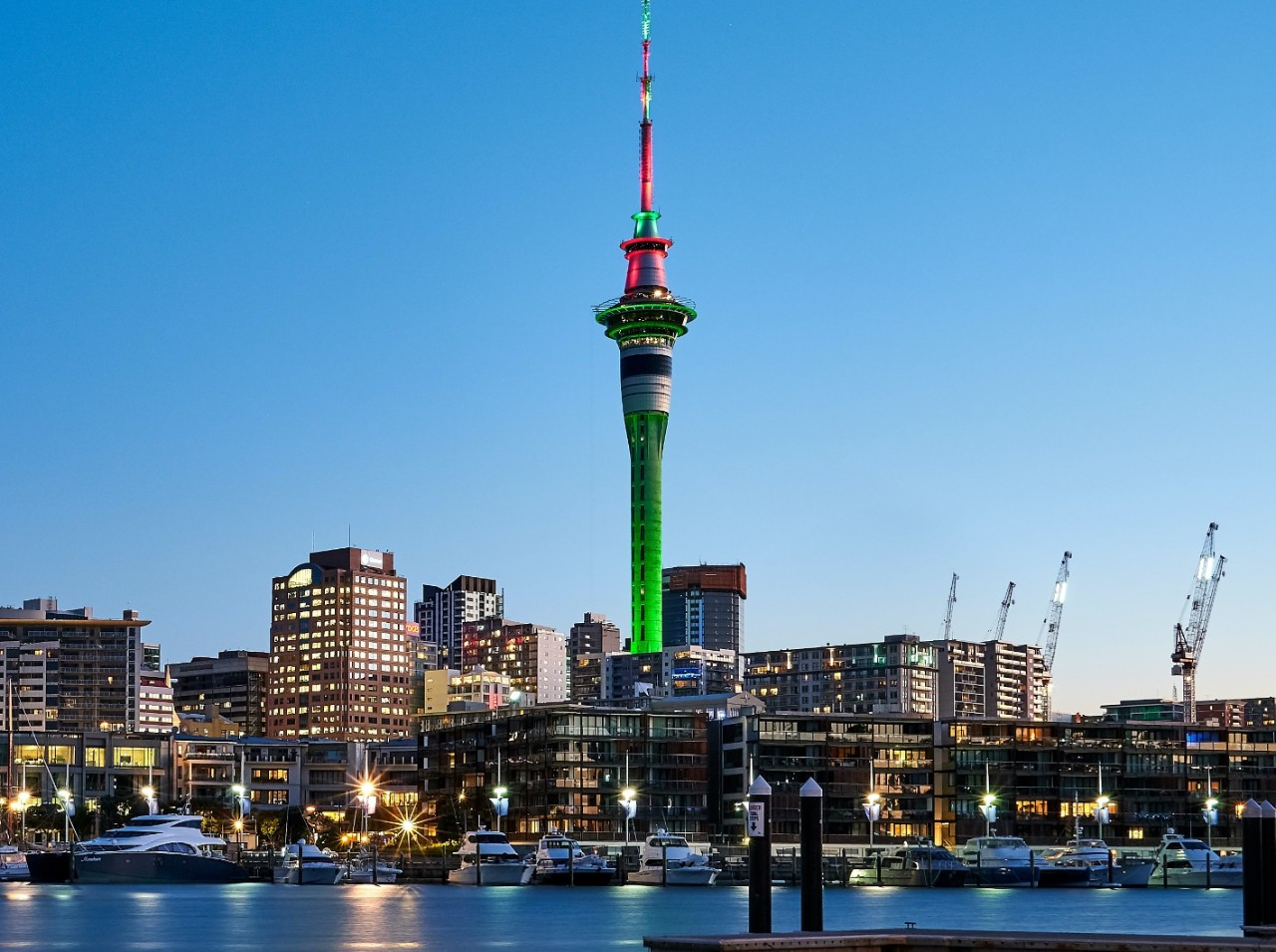 travel insurance coming to new zealand